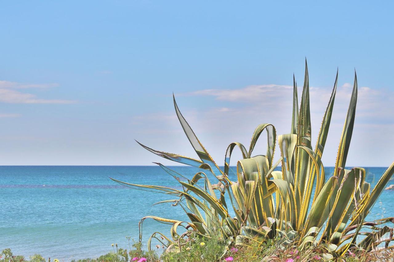 Holiday Home Arzilli Фолоника Екстериор снимка